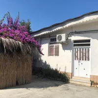 سوئیت-یک-خوابه-گل-کاغذی-1-رزرو-قسطی-در-جاباما