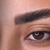 سلام و عرض ادب احترام خدمت همه دوستان عزیز