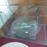 باریوم با لوازم|ماهی|ارومیه, |دیوار