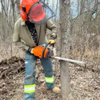 خریدار چوب شما