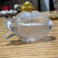 کیس ایرپاد پرو و ایرپاد پرو ۲