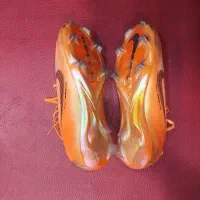 کفش چمنی