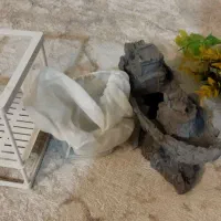 آکواریم بزرگ به همراه ماهی|ماهی|مشهد, انقلاب|دیوار