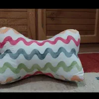 بالشتک استخوانی