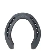 سلام به تمام عشقبازان نعل اسب پاخورده قابل استفاده|اسب و تجهیزات اسبسواری|ماهدشت, |دیوار