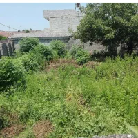 زمین-سنددار-باغی