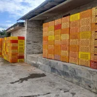 سبد مرغی در حد نو،تعداد۳۹۲عدد|عمدهفروشی|آزادشهر, |دیوار