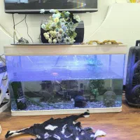آکواریوم  یک و خورده ای متر