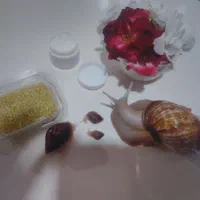 کرم و خاویار