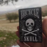 اسکلتی اصلی