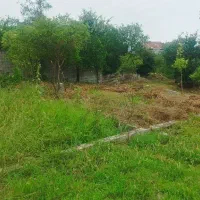 276 متر زمین رامسر کتالم کوزه گر محله معاوضه واحد|فروش آپارتمان|کتالم و سادات شهر, |دیوار