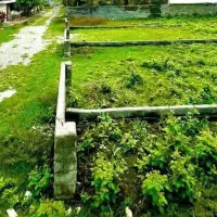 فروش-زمین-بافت-مسکونی-جاده-جنگلی-نور