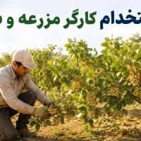 استخدام کارگر مزرعه اتباع