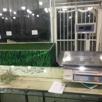 فروش وسایل کامل میوه فروشی|فروشگاه و مغازه|شیراز, سفیرشمالی|دیوار