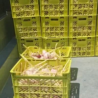 سبد ۱۰ کیلویی