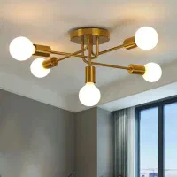 لوستر مولکولی ولهستانی