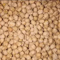 نخود کرمانشاه