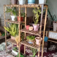 استندگل بزرگ و زیبا ، چوب ترمو ضدموریانه و سوسک.|گل و گیاه طبیعی|نجفآباد, صالح آباد|دیوار