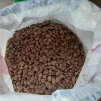 غذای خشک سگ و گربه مستقیم از شرکت