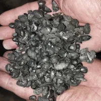 خرید پوست پسته|خدمات باغبانی و درختکاری|شهر بابک, |دیوار