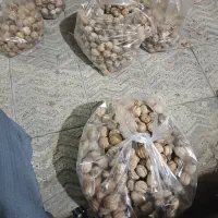 گردوی درجه ۱|خوردنی و آشامیدنی|تهران, سعادت‌آباد|دیوار