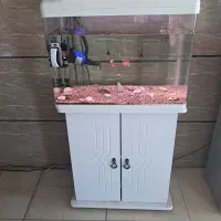 اکواریوم شیشه خم شرکتی