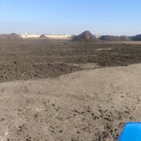 کود پوسیده (سوخته)