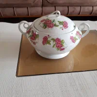 سوپ خوری گلسرخی زیبا