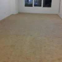 پالاز موکت|موکت|یزد, |دیوار