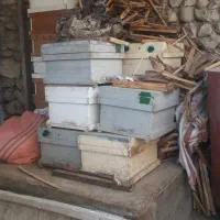 کندو زنبورعسل