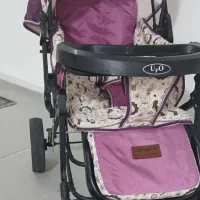 کالسکه دلیجان|کالسکه و لوازم جانبی|دهلران, |دیوار