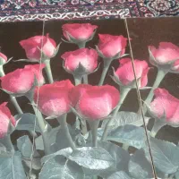 تابلو|تابلو، نقاشی، عکس|جوانرود, |دیوار