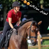 آموزش سوارکاری برای تمامی سنین