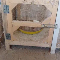 یک عدد قفس چوبی بزرگ ب فروش میرسد