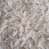 فروش برنج طارم هاشمی شیرودی|عمدهفروشی|بابلسر, |دیوار