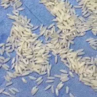 برنج شمال، درجه یک ،پخت ب شرط