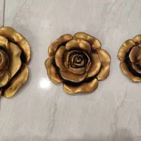 گل سه تایی دیواری ، پروانه دیواری