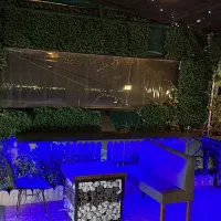 گرین وال چمن مصنوعی چمن سبز
