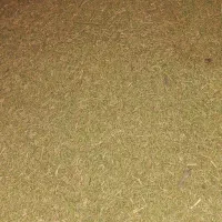 کاه خارشتر|حیوانات مزرعه|همدان, |دیوار