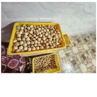 لیموخشک