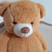 خرس خارجی بزرگ نونو مناسب هدیه و سیسمونی ولنتاین|اسباببازی بچه|مشهد, ابوذر|دیوار