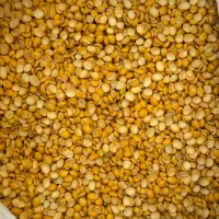 حبوبات عمده|خوردنی و آشامیدنی|تهران, بهمن یار|دیوار