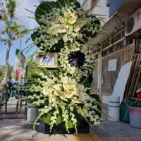 مرکز پخش تخصصی تاج گل در کرج و تهران|گل و گیاه طبیعی|کرج, گوهردشت|دیوار