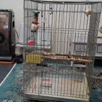 قفس بزرگ معاوضه با سره بخون یا فروش