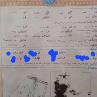 زمین 500متری بانک ملی / سند‌تک برگ آینده‌دار