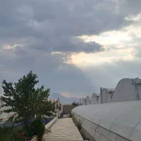اجاره گلخانه ۲۵۰۰ متری|اجارهٔ دفتر صنعتی، کشاورزی، تجاری|بهار, |دیوار