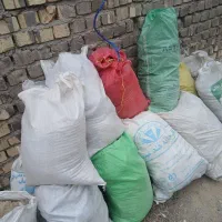 کود بوقلمون