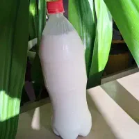 شیر و دوغ و کره محلی