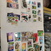 تعداد 220عدد تمر قدیمی