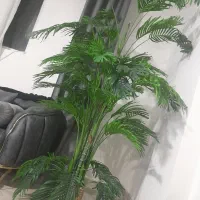 گل و درختچه